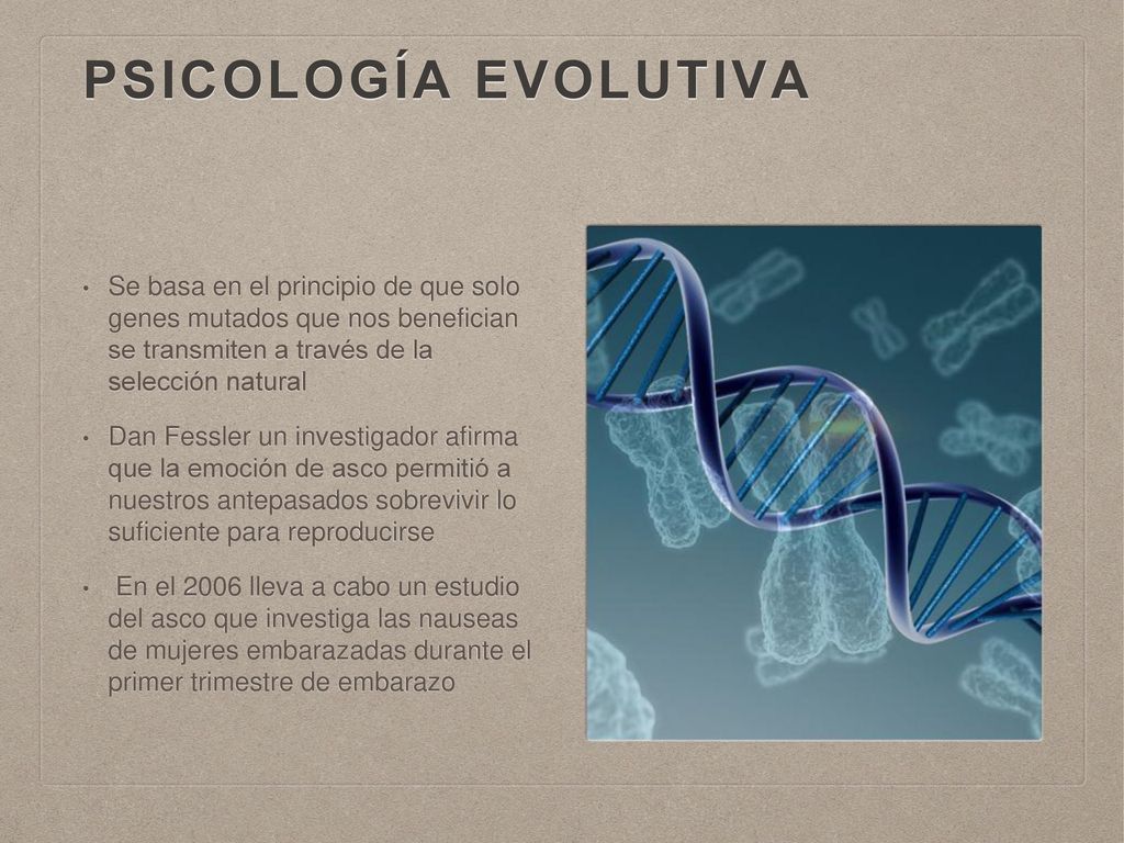 Psicología evolutiva Se basa en el principio de que solo genes mutados que nos benefician se transmiten a través de la selección natural.