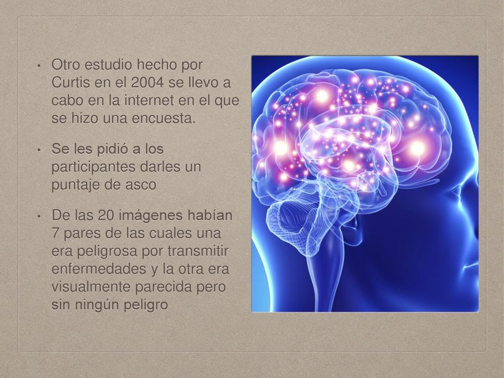 Otro estudio hecho por Curtis en el 2004 se llevo a cabo en la internet en el que se hizo una encuesta.
