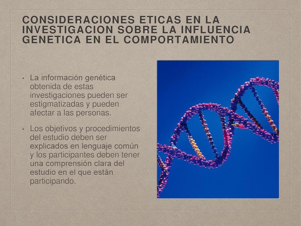 Consideraciones eticas en la investigacion sobre la influencia genetica en el comportamiento
