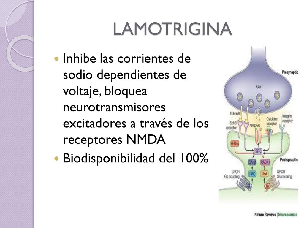 LAMOTRIGINA Inhibe las corrientes de sodio dependientes de voltaje, bloquea neurotransmisores excitadores a través de los receptores NMDA.