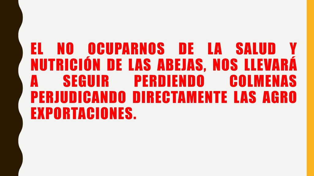 EL NO OCUPARNOS DE LA SALUD Y NUTRICIÓN DE LAS ABEJAS, NOS LLEVARÁ A SEGUIR PERDIENDO COLMENAS PERJUDICANDO DIRECTAMENTE LAS AGRO EXPORTACIONES.