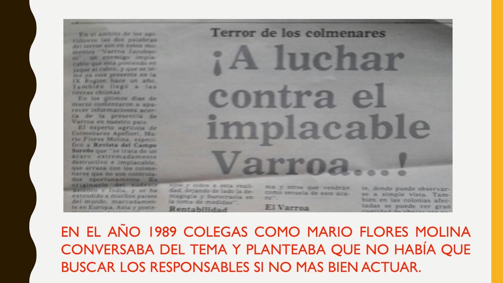 EN EL AÑO 1989 COLEGAS COMO MARIO FLORES MOLINA CONVERSABA DEL TEMA Y PLANTEABA QUE NO HABÍA QUE BUSCAR LOS RESPONSABLES SI NO MAS BIEN ACTUAR.