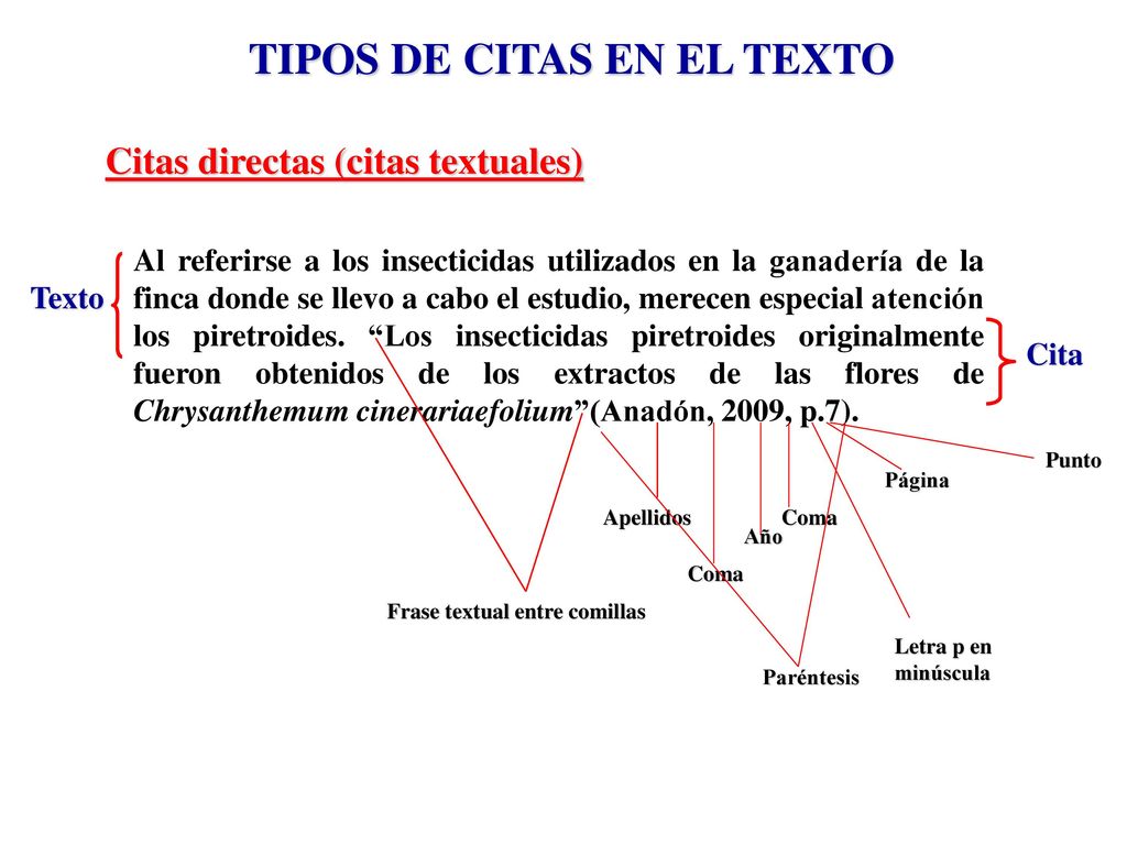 TIPOS DE CITAS EN EL TEXTO