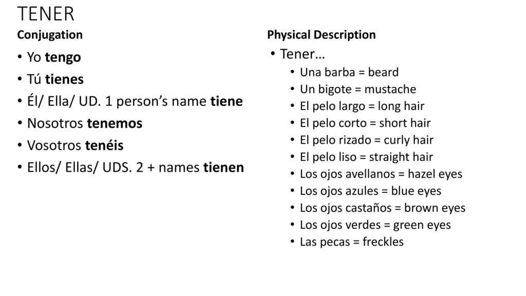TENER Tener… Yo tengo Tú tienes Él/ Ella/ UD. 1 person’s name tiene