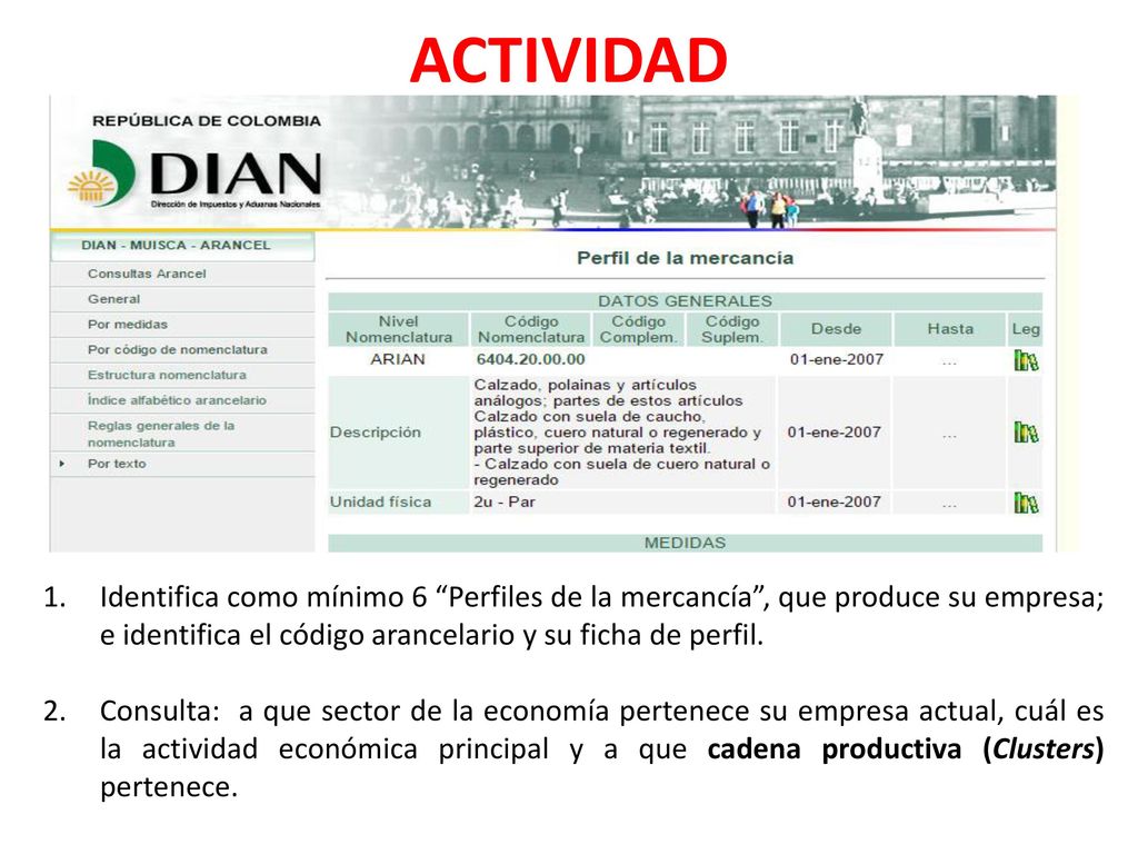 ACTIVIDAD Identifica como mínimo 6 Perfiles de la mercancía , que produce su empresa; e identifica el código arancelario y su ficha de perfil.