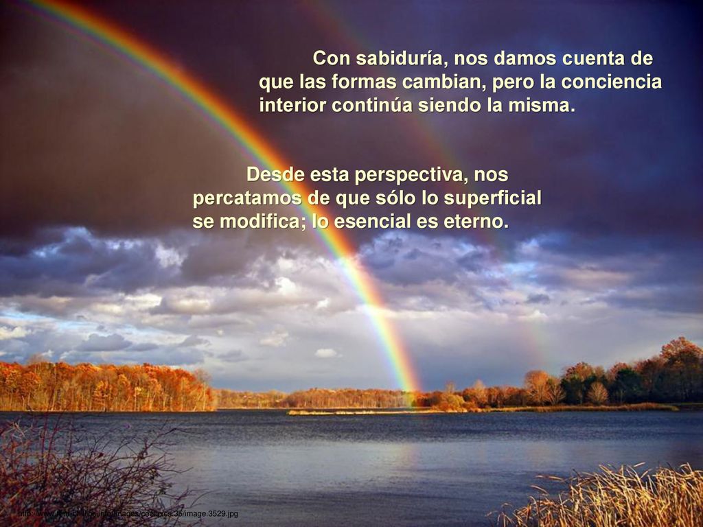 Con sabiduría, nos damos cuenta de que las formas cambian, pero la conciencia interior continúa siendo la misma.