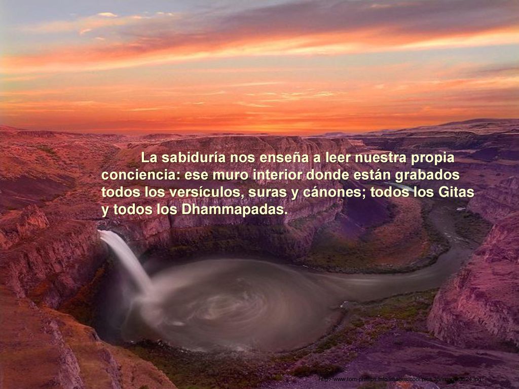 La sabiduría nos enseña a leer nuestra propia conciencia: ese muro interior donde están grabados todos los versículos, suras y cánones; todos los Gitas y todos los Dhammapadas.