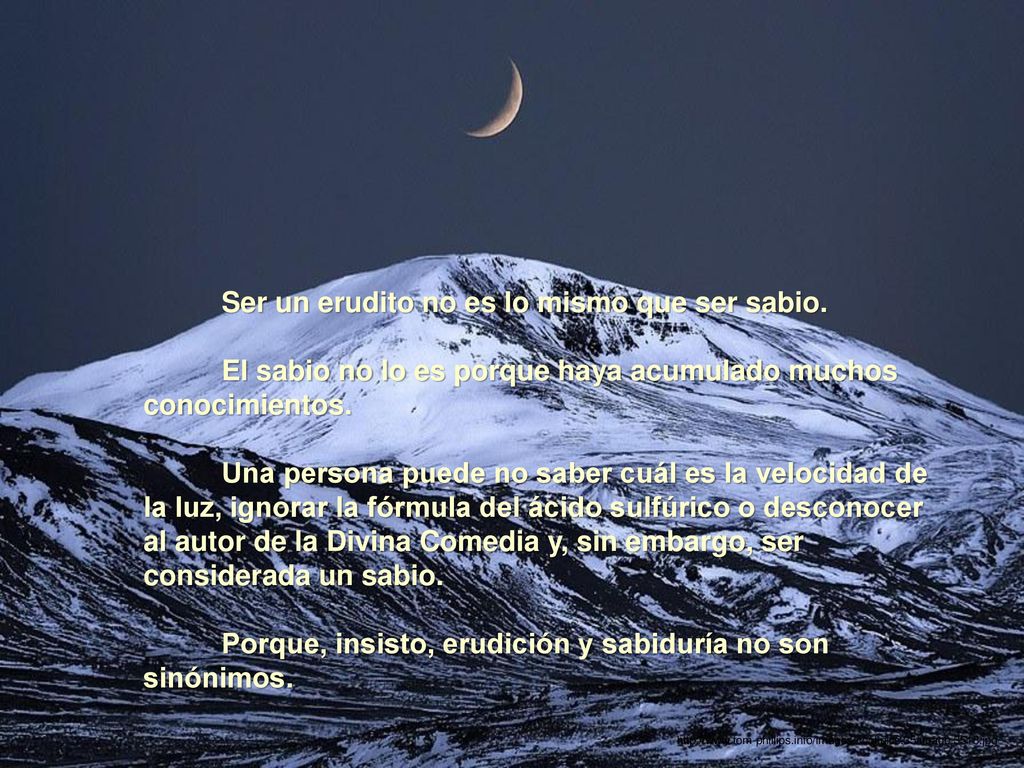 Ser un erudito no es lo mismo que ser sabio.