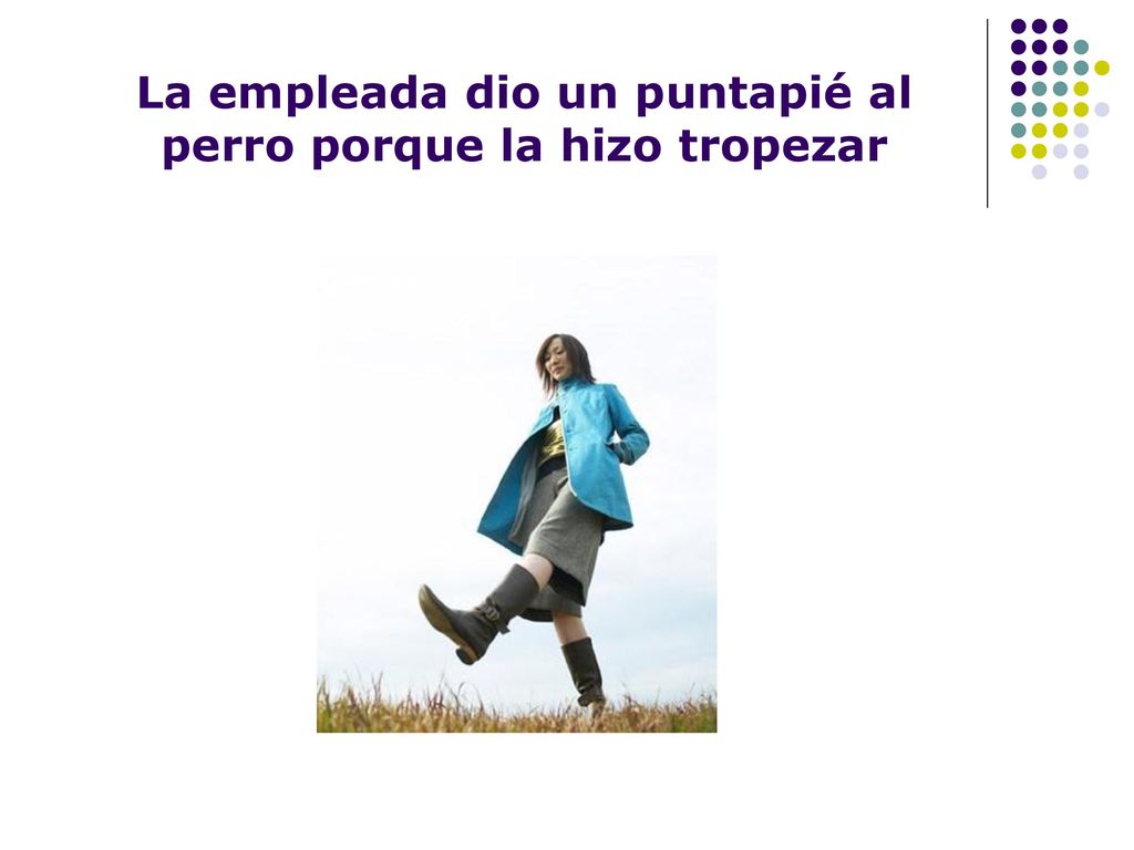 La empleada dio un puntapié al perro porque la hizo tropezar