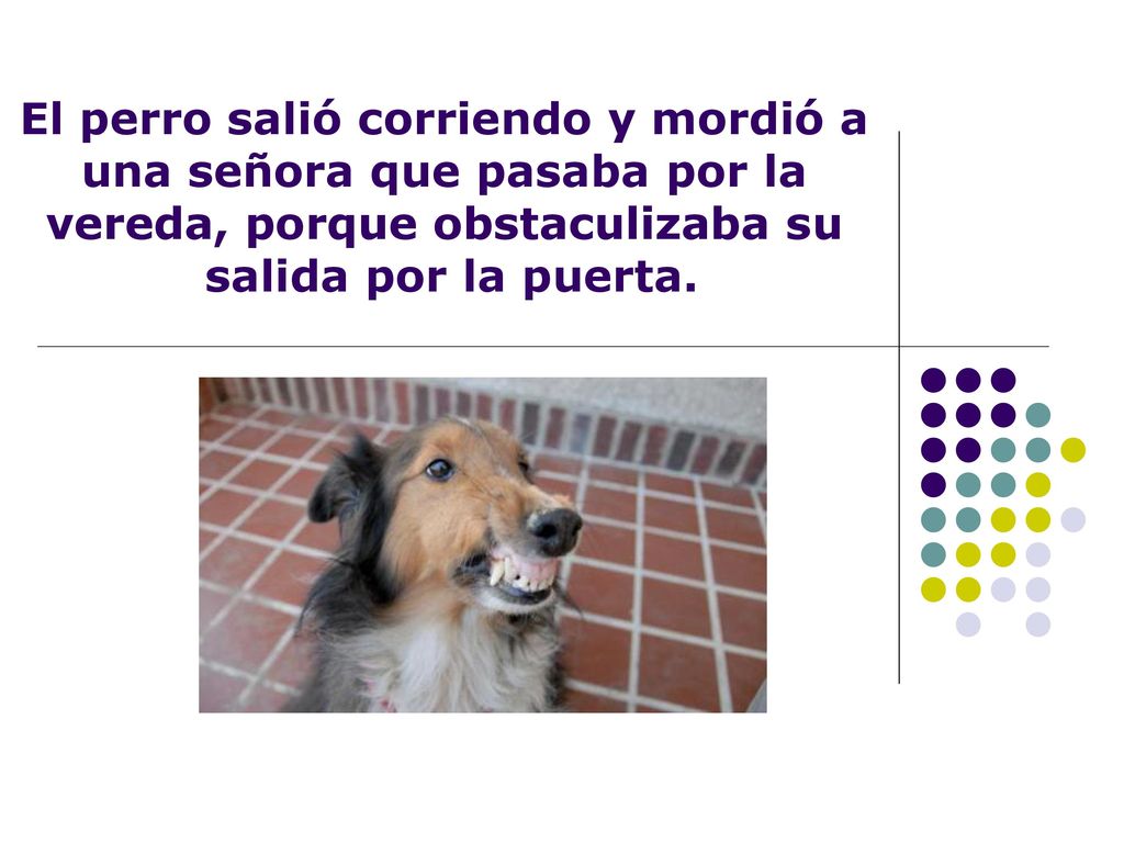 El perro salió corriendo y mordió a una señora que pasaba por la