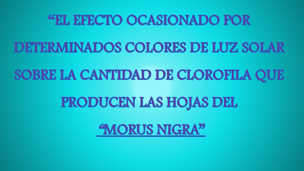 EL EFECTO OCASIONADO POR DETERMINADOS COLORES DE LUZ SOLAR SOBRE LA CANTIDAD DE CLOROFILA QUE PRODUCEN LAS HOJAS DEL