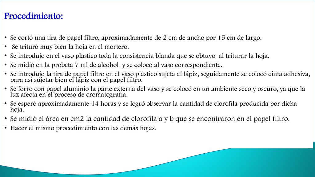 Procedimiento: Se cortó una tira de papel filtro, aproximadamente de 2 cm de ancho por 15 cm de largo.