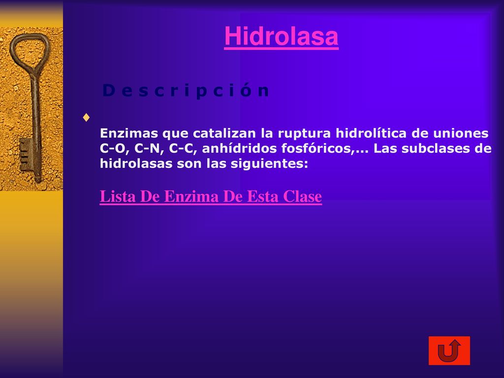 Hidrolasa D e s c r i p c i ó n