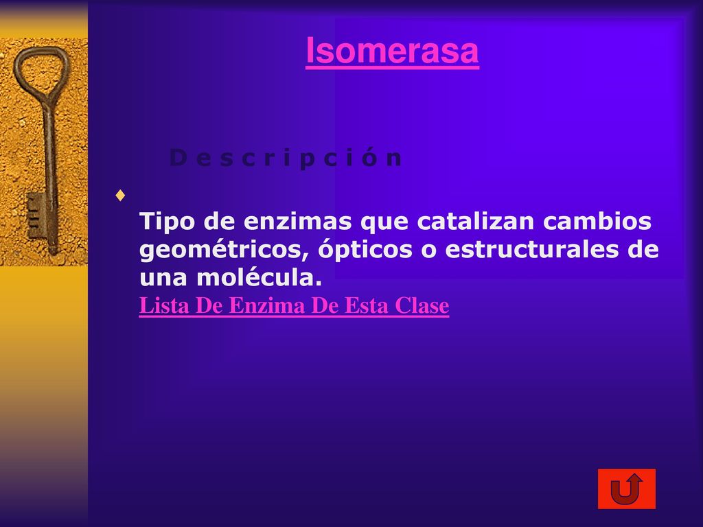 Isomerasa D e s c r i p c i ó n
