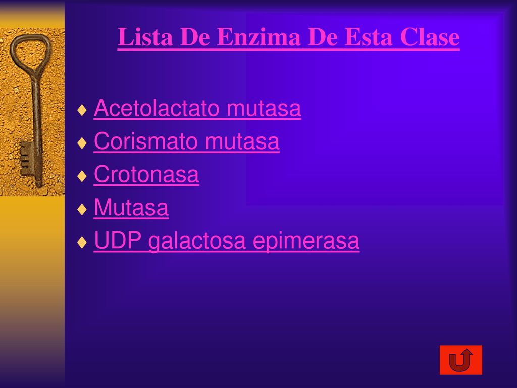 Lista De Enzima De Esta Clase