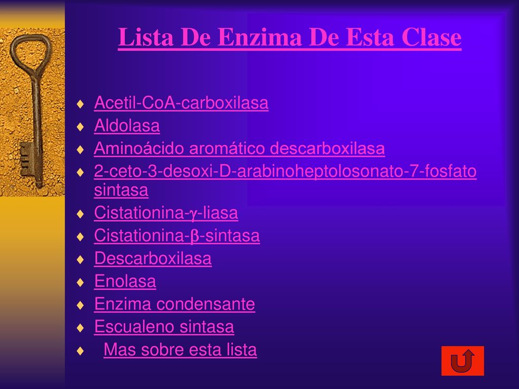 Lista De Enzima De Esta Clase