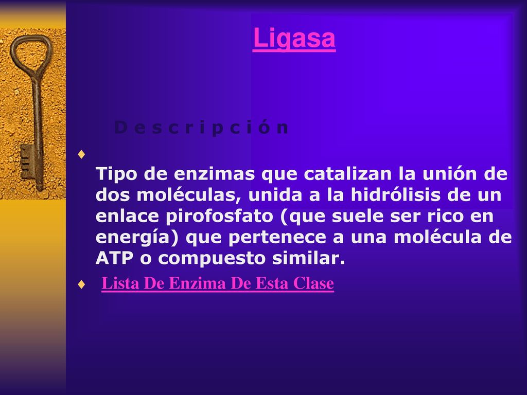 Ligasa D e s c r i p c i ó n.