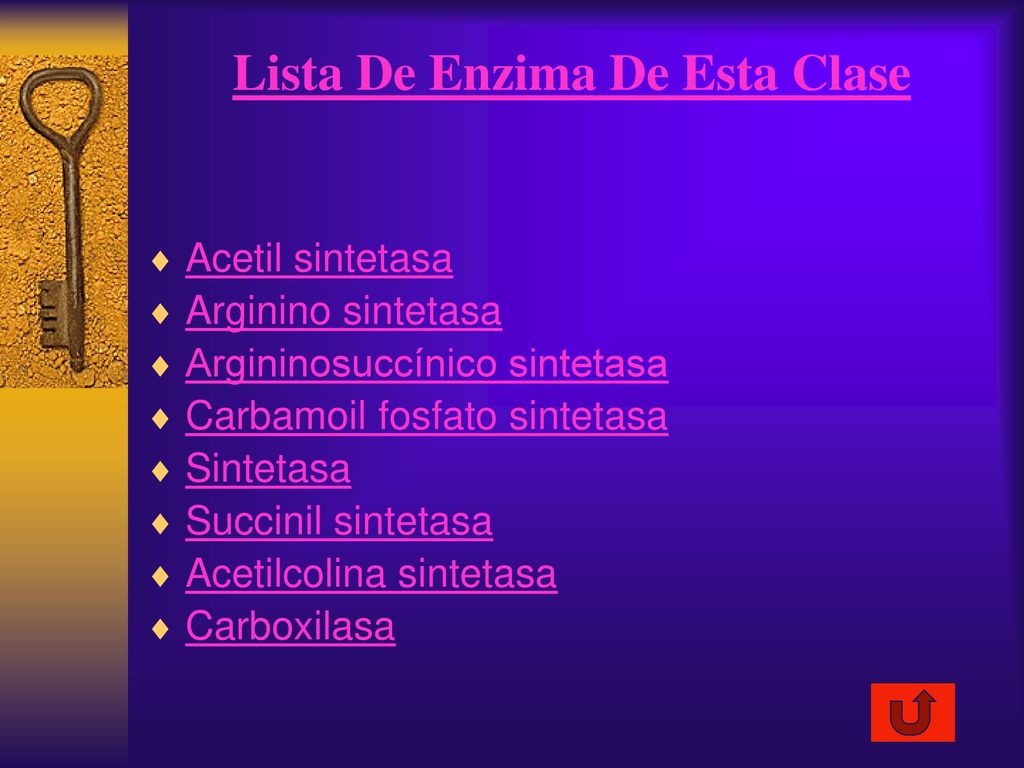 Lista De Enzima De Esta Clase