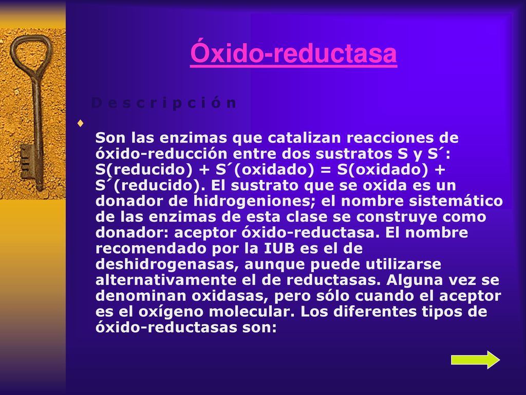 Óxido-reductasa D e s c r i p c i ó n