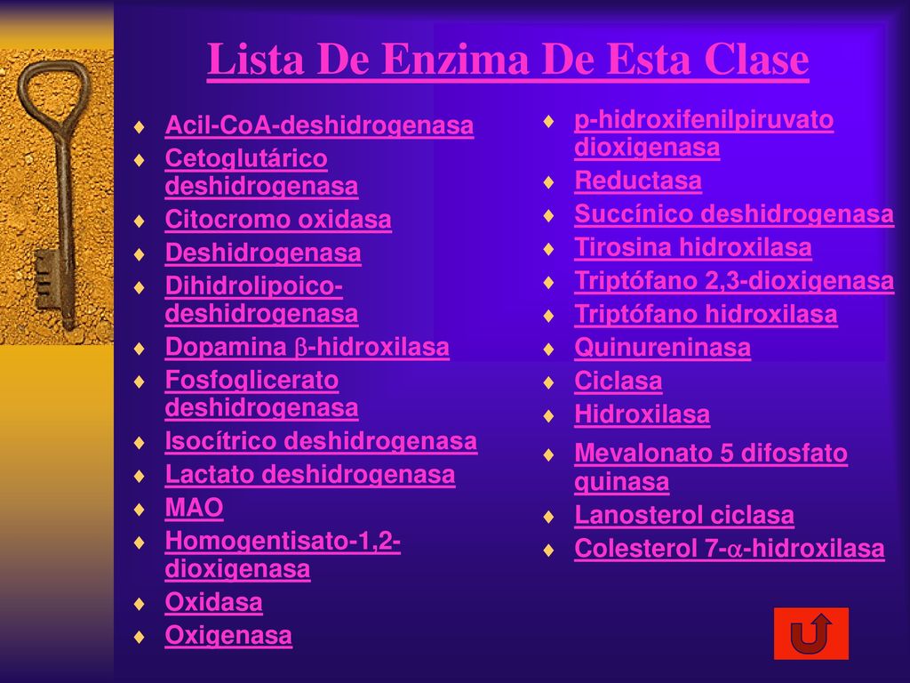 Lista De Enzima De Esta Clase
