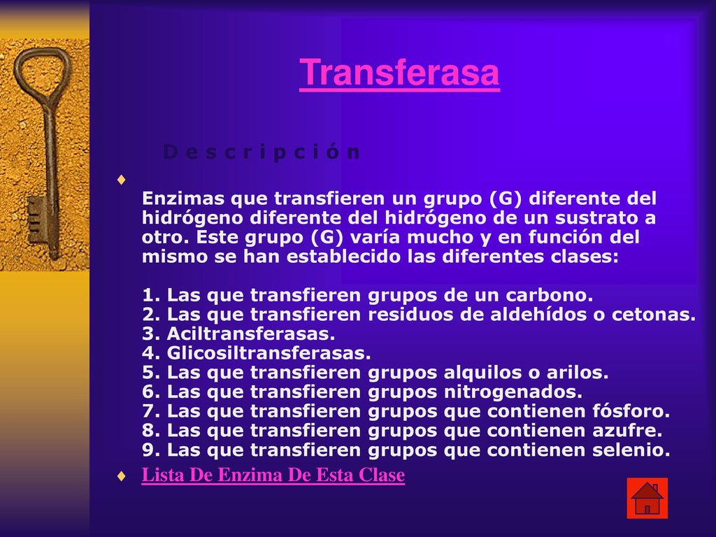 Transferasa D e s c r i p c i ó n