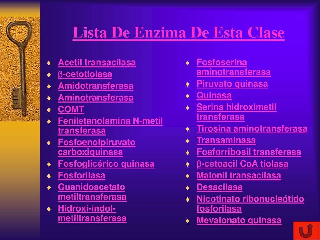 Lista De Enzima De Esta Clase
