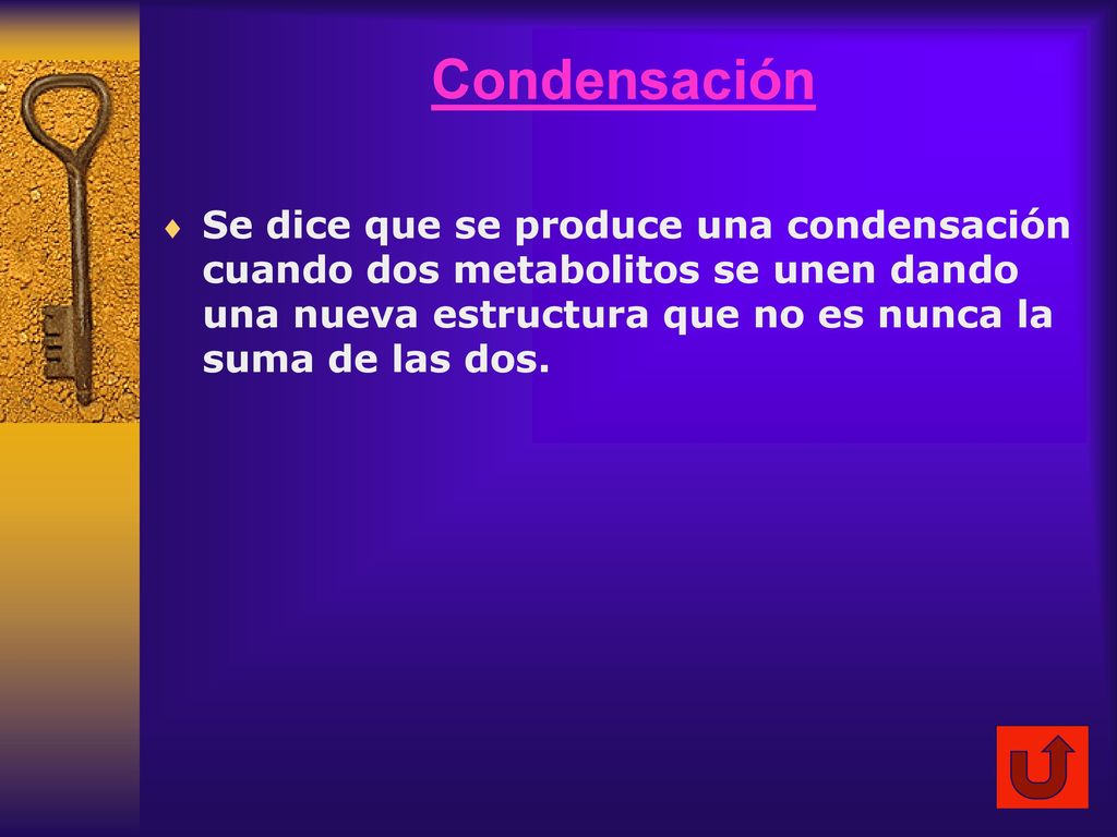 Condensación Se dice que se produce una condensación cuando dos metabolitos se unen dando una nueva estructura que no es nunca la suma de las dos.