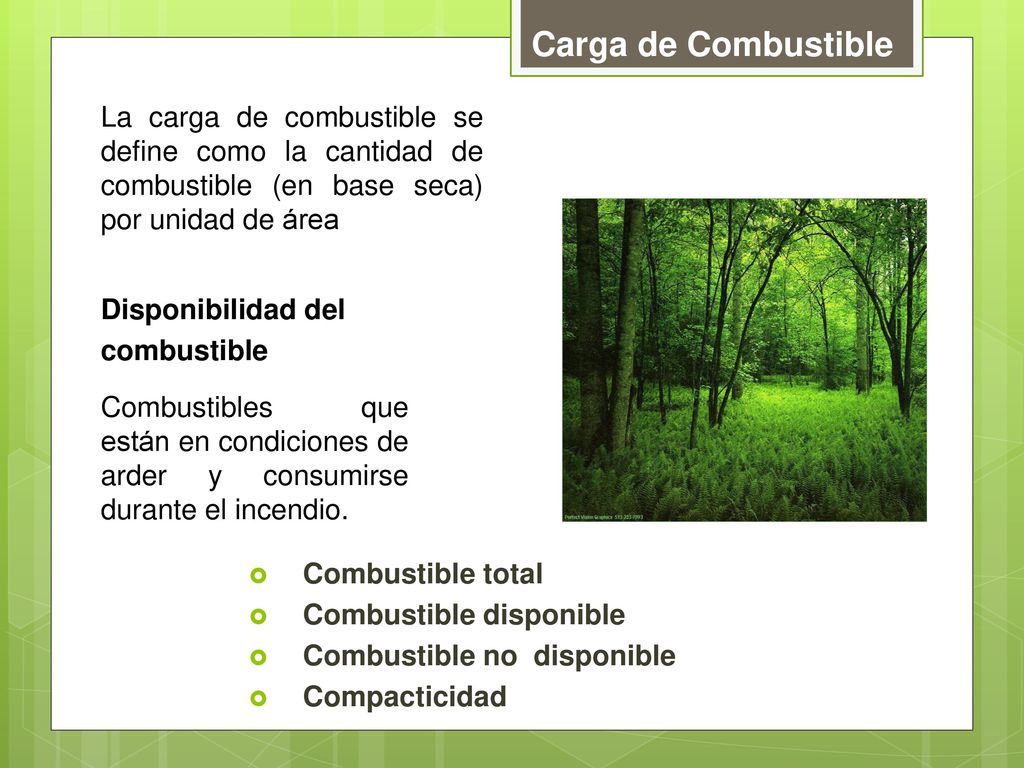 Carga de Combustible La carga de combustible se define como la cantidad de combustible (en base seca) por unidad de área.