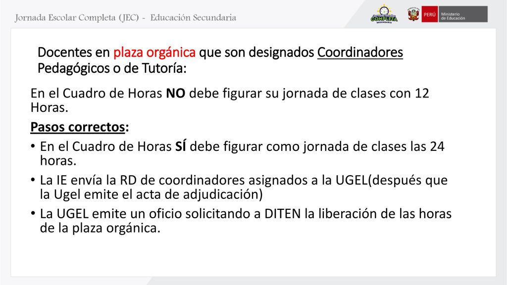 Docentes en plaza orgánica que son designados Coordinadores Pedagógicos o de Tutoría: