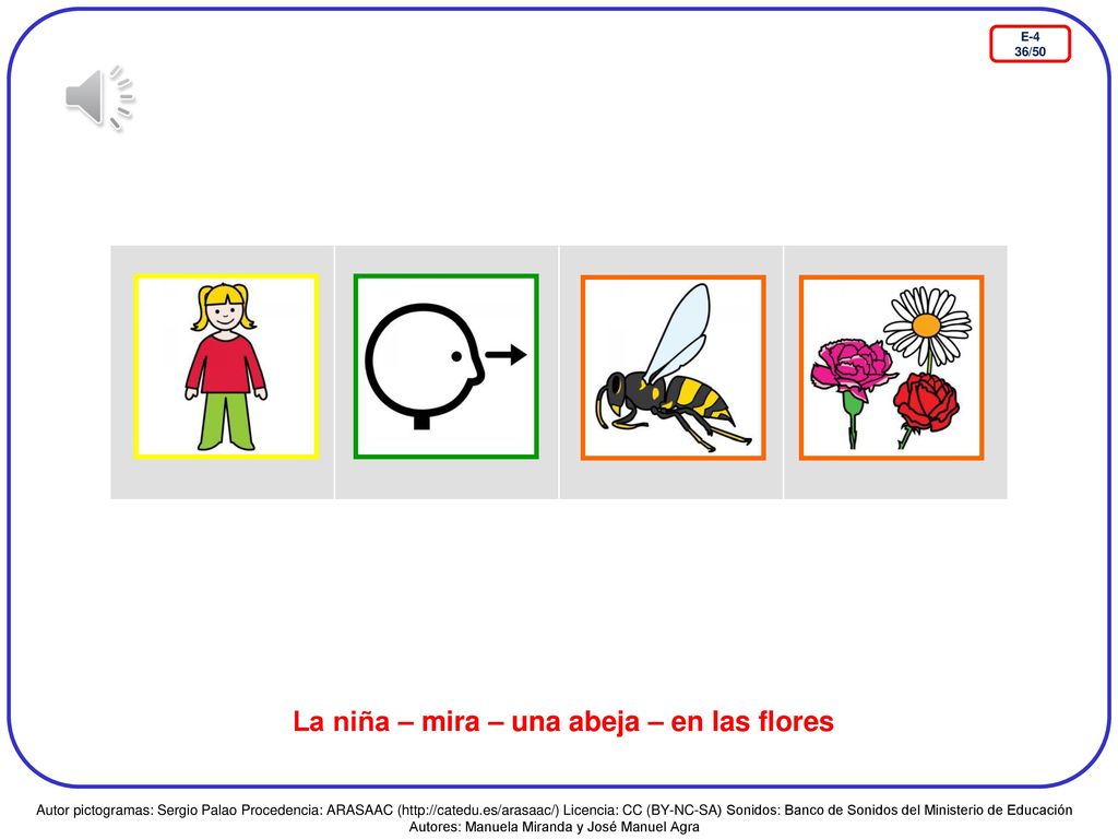 La niña – mira – una abeja – en las flores