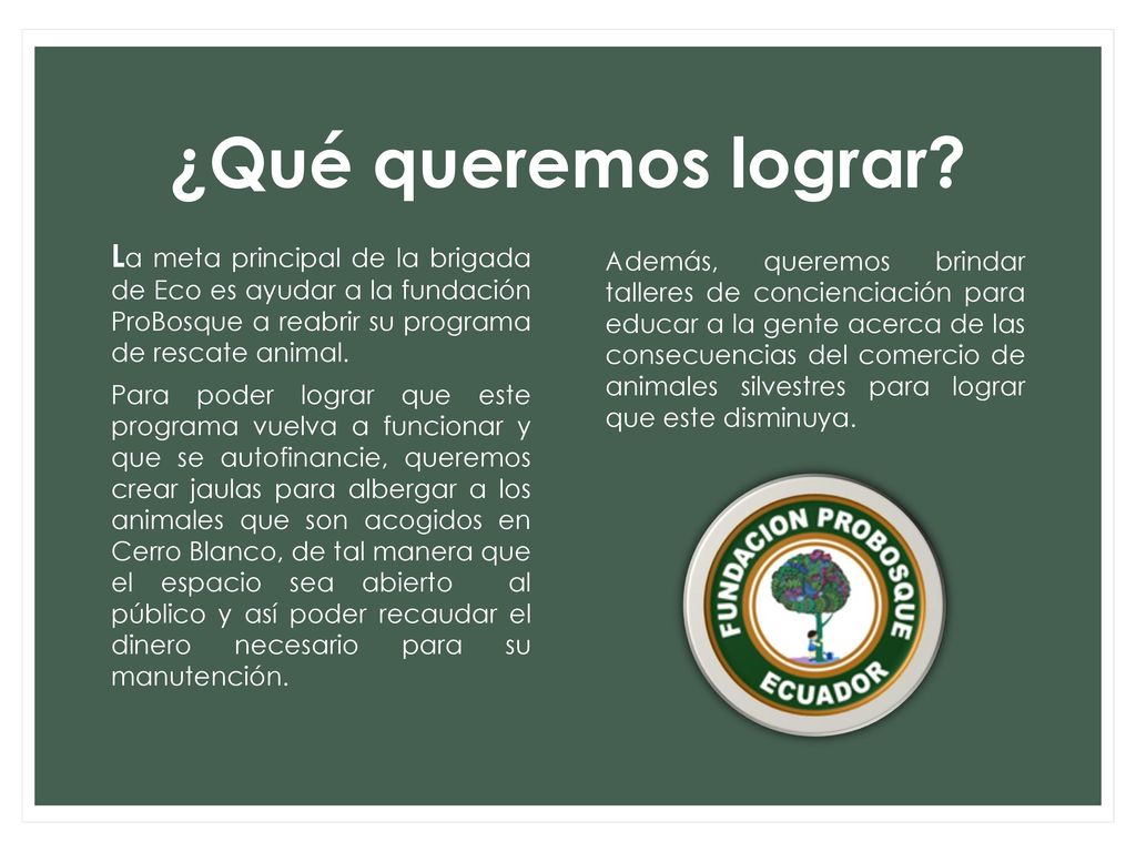 ¿Qué queremos lograr La meta principal de la brigada de Eco es ayudar a la fundación ProBosque a reabrir su programa de rescate animal.