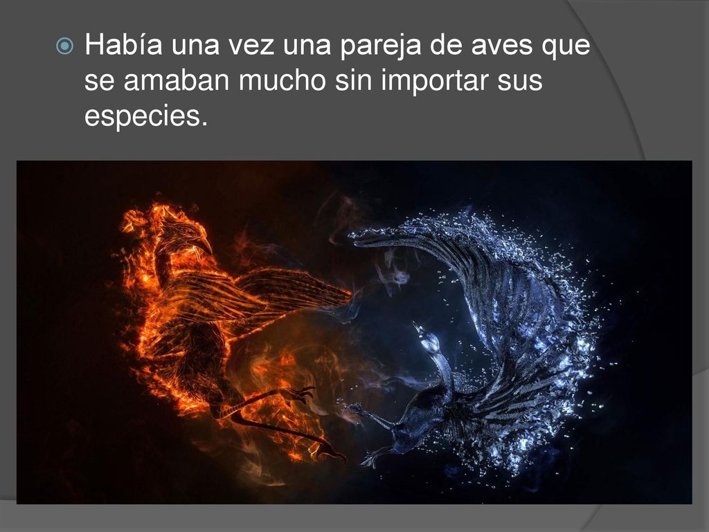 Había una vez una pareja de aves que se amaban mucho sin importar sus especies.