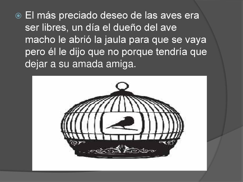 El más preciado deseo de las aves era ser libres, un día el dueño del ave macho le abrió la jaula para que se vaya pero él le dijo que no porque tendría que dejar a su amada amiga.