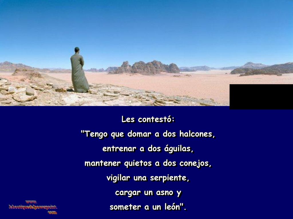 Tengo que domar a dos halcones, mantener quietos a dos conejos,