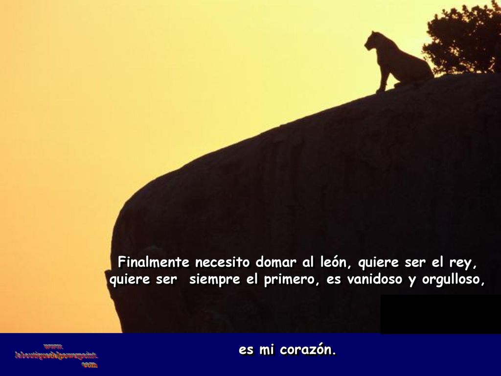 Finalmente necesito domar al león, quiere ser el rey, quiere ser siempre el primero, es vanidoso y orgulloso,