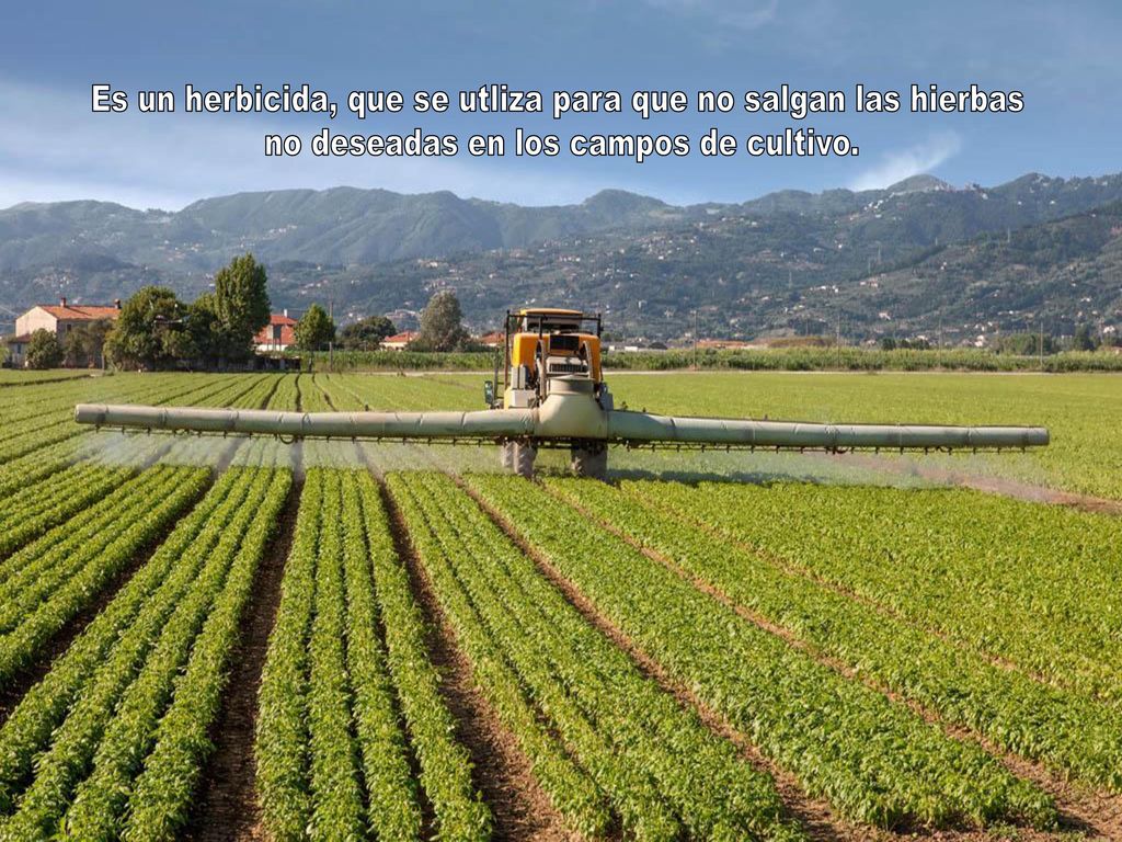 Es un herbicida, que se utliza para que no salgan las hierbas