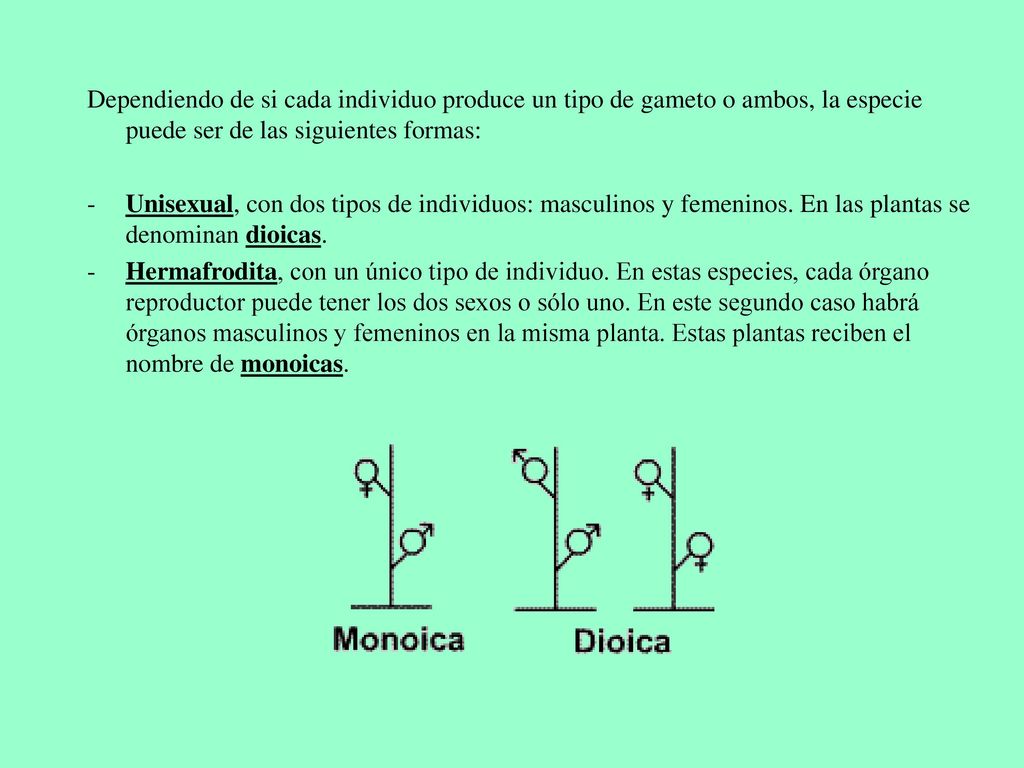 Dependiendo de si cada individuo produce un tipo de gameto o ambos, la especie puede ser de las siguientes formas: