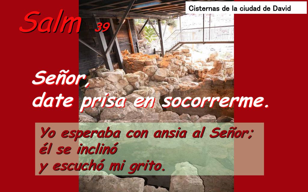 Salm 39 Señor, date prisa en socorrerme.