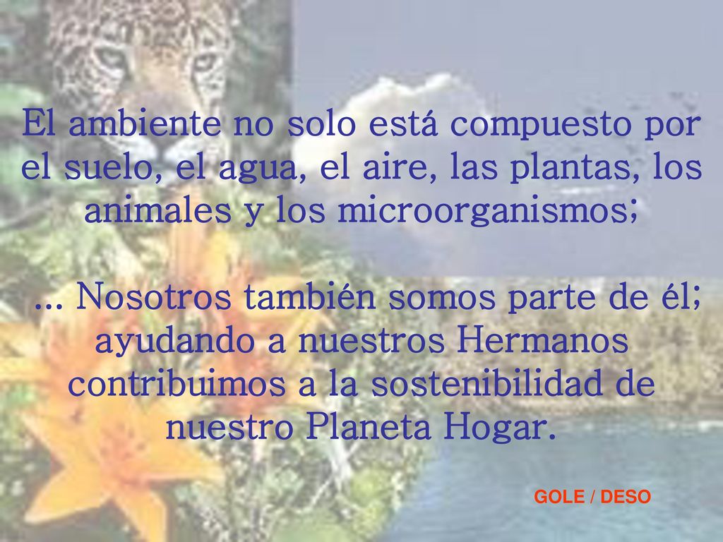 El ambiente no solo está compuesto por el suelo, el agua, el aire, las plantas, los animales y los microorganismos; ... Nosotros también somos parte de él; ayudando a nuestros Hermanos contribuimos a la sostenibilidad de nuestro Planeta Hogar.