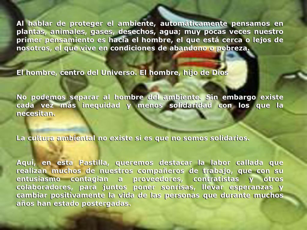 Al hablar de proteger el ambiente, automáticamente pensamos en plantas, animales, gases, desechos, agua; muy pocas veces nuestro primer pensamiento es hacia el hombre, el que está cerca o lejos de nosotros, el que vive en condiciones de abandono o pobreza.