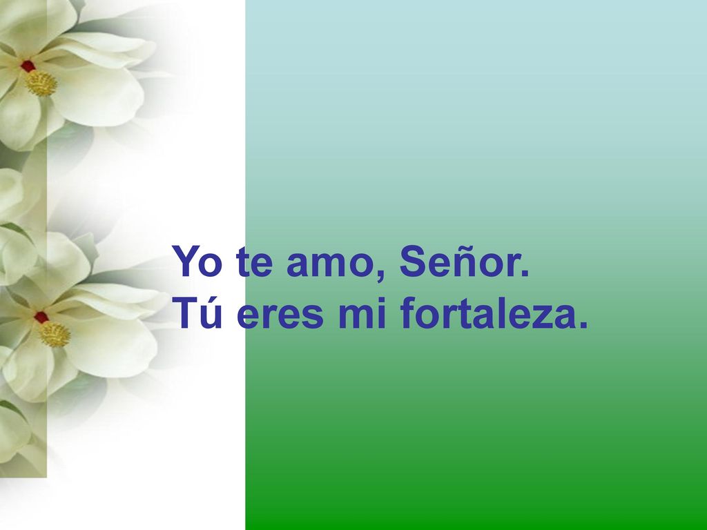 Yo te amo, Señor. Tú eres mi fortaleza.