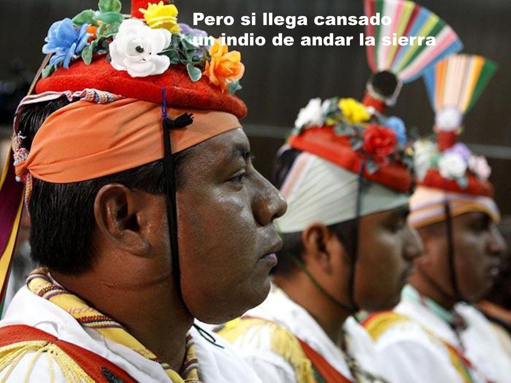 Pero si llega cansado un indio de andar la sierra