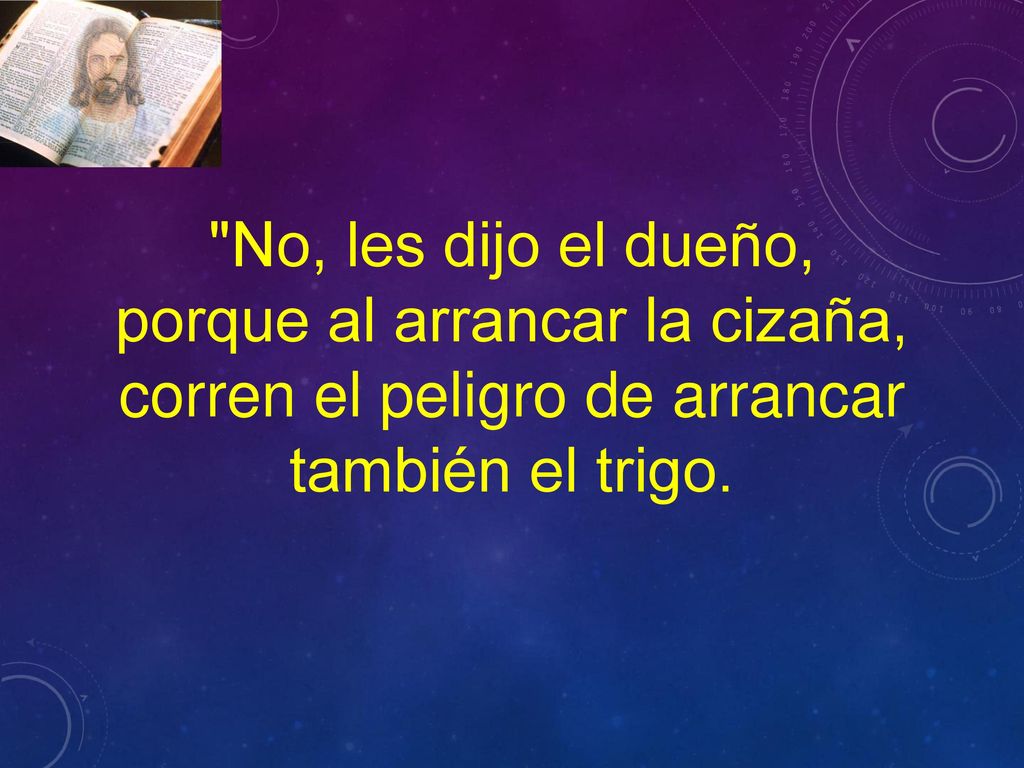 No, les dijo el dueño, porque al arrancar la cizaña, corren el peligro de arrancar también el trigo.
