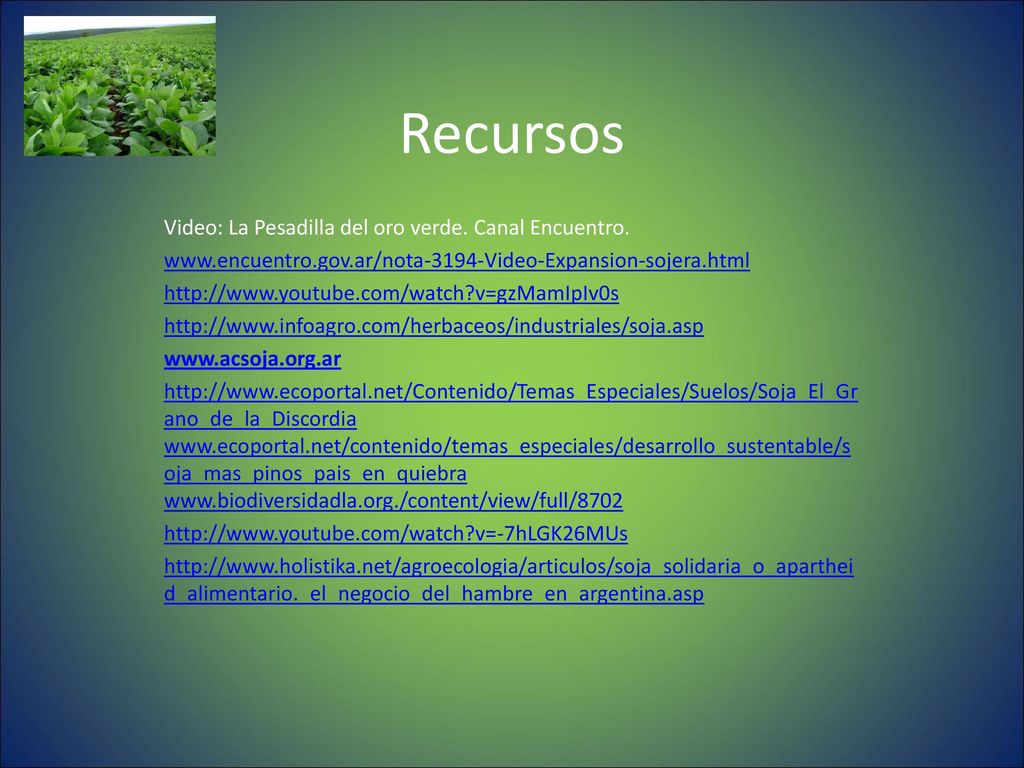Recursos Video: La Pesadilla del oro verde. Canal Encuentro.