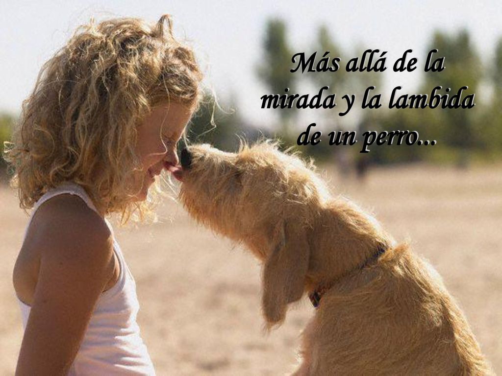Más allá de la mirada y la lambida de un perro...