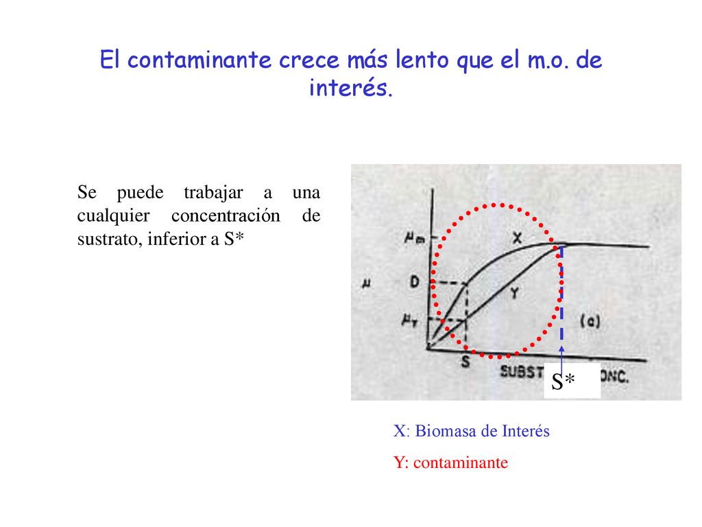 El contaminante crece más lento que el m.o. de interés.