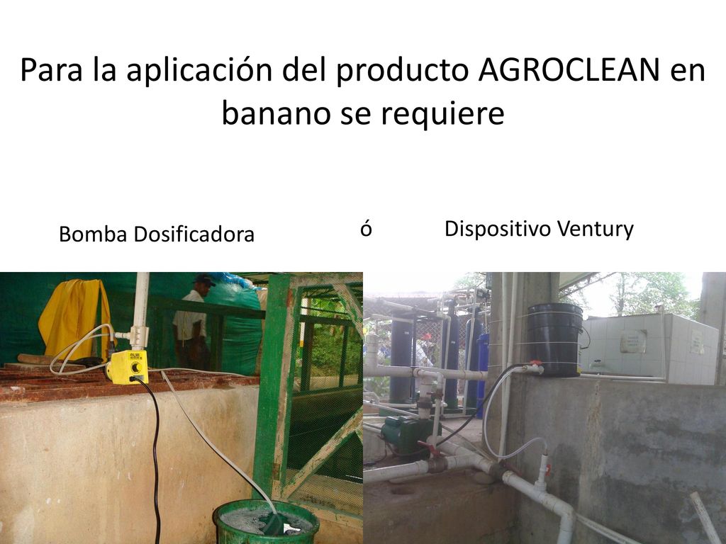 Para la aplicación del producto AGROCLEAN en banano se requiere