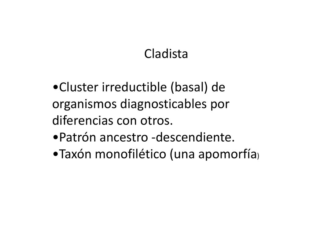 Cladista •Cluster irreductible (basal) de organismos diagnosticables por diferencias con otros. •Patrón ancestro -descendiente.