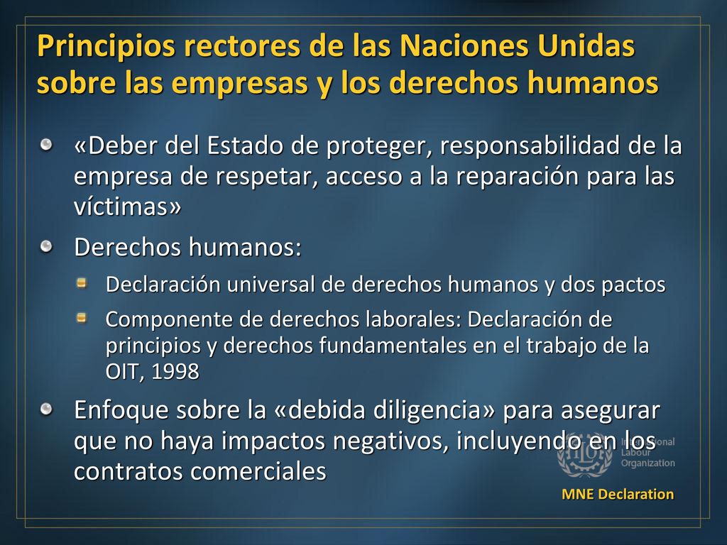 Principios rectores de las Naciones Unidas sobre las empresas y los derechos humanos