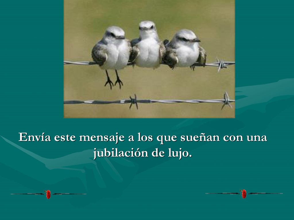 Envía este mensaje a los que sueñan con una jubilación de lujo.